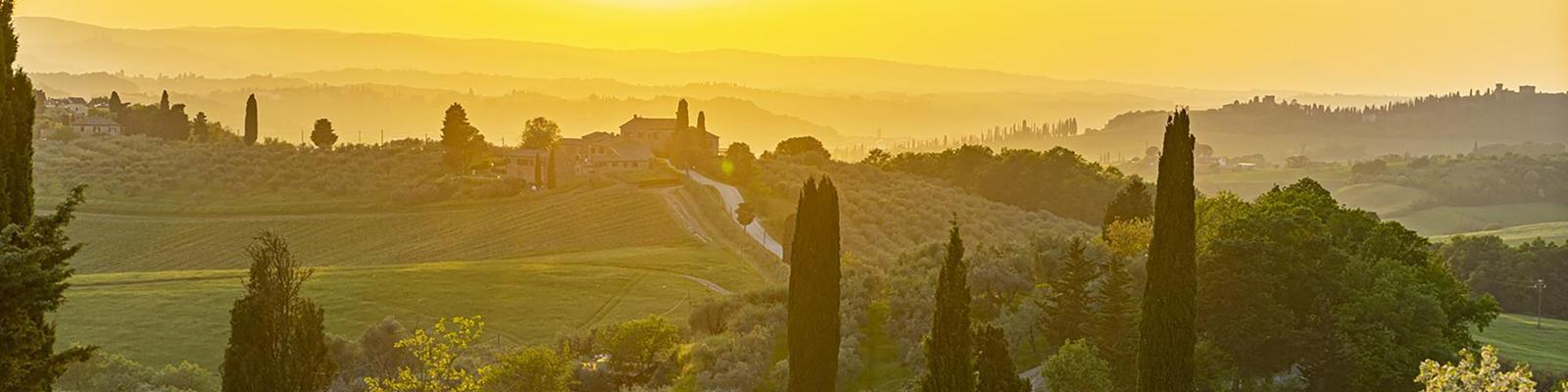 Eine hügelige Landschaft wird von Sonnenlicht in warmen Gelbtönen erleuchtet. Im Vordergrund stehen große Zypressen, während im Hintergrund ein Weg zu einem Landhaus führt, umgeben von sanften Hügeln und Bäumen.