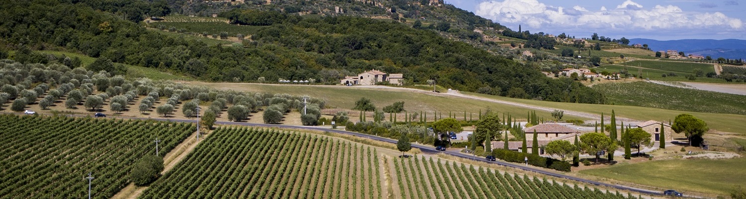 Rebenfelder erstrecken sich im Vordergrund, während ein bewaldeter Hügel im Hintergrund sichtbar ist. Ein Wohnhaus und Olivenbäume liegen in der Umgebung, mit einer kurvigen Straße, die durch die Landschaft führt.