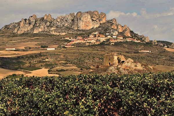 Ein Weinberg im Vordergrund mit grünen Reben. Im Hintergrund das Dorf, das an den Hängen eines großen Felsens liegt, umgeben von sanften Hügeln und einer bewölkten Himmel.