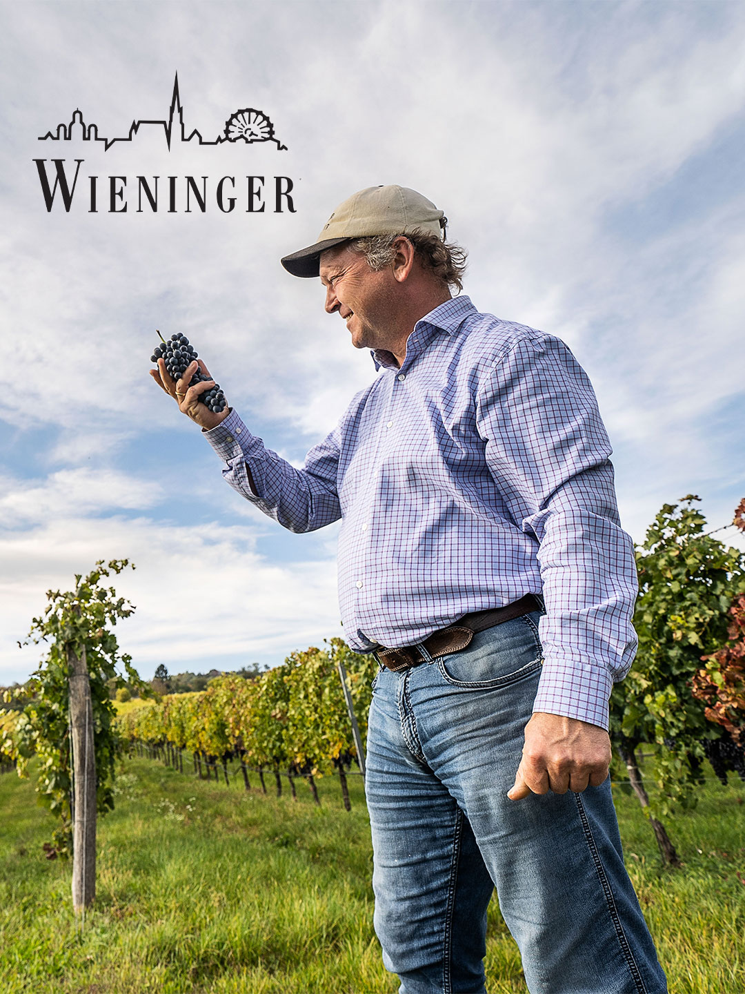 Ein Mann in einem karierten Hemd und einer Mütze hält einen Traubenzweig in der Hand, während er in einem Weinberg steht. Im Hintergrund sind Reben und ein blauer Himmel zu sehen.