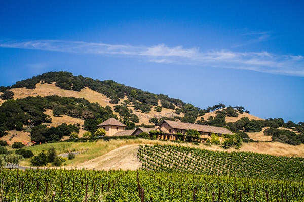 Ein Holzschild in Form eines Pfeils zeigt nach rechts und ist mit der amerikanischen Flagge dekoriert. Im Hintergrund erstrecken sich Weinreben und sanfte Hügel.