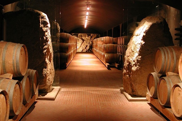 Fässer aus Holz stehen in einem langen Weinkeller, umgeben von steinernen Wänden. Sanftes Licht beleuchtet den schmalen Gang, der zwischen den Regalen verläuft.