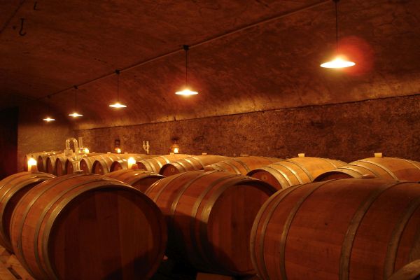 In einem Keller stehen mehrere große Holzfässer in drei Reihen. Warme, gedämpfte Beleuchtung schafft eine gemütliche Atmosphäre, während Kerzen und Gläser im Hintergrund sichtbar sind.