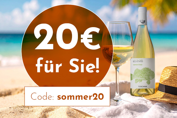 Ein Weinflasche steht neben einem großzügigen Glas Wein auf einem Strandhandtuch. Im Hintergrund sind Sand, Meer und Palmen sichtbar. Der Text lautet: -20€ für Sie! Code: sommer20-.