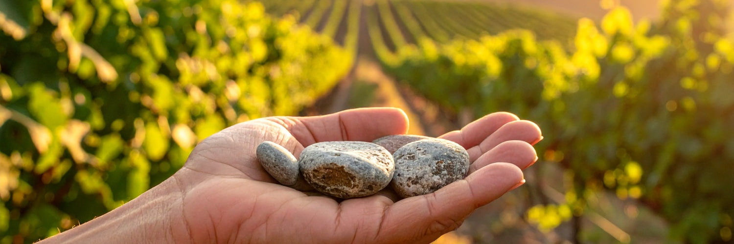 Ein Mensch hält einen großen, unregelmäßig geformten Stein in der Hand. Im Hintergrund sind grüne Pflanzen zu sehen, die eine natürliche Umgebung schaffen.