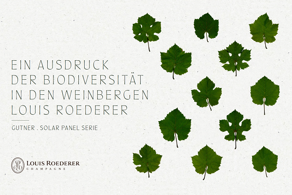 Biodiversität_Blätter_600 Biodiversität_Blätter_600