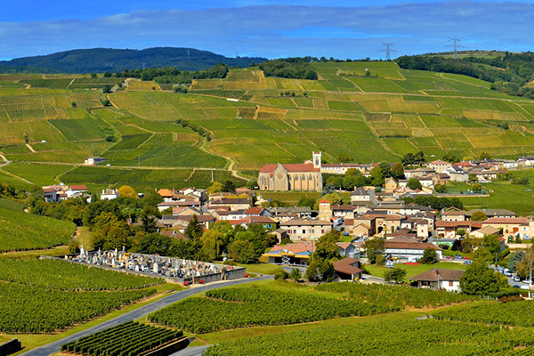 Eine Weinanbaufläche mit sanften Hügeln erstreckt sich über die Landschaft. Im Vordergrund liegt ein Dorf mit einer Kirche und umgeben von Weinreben, während im Hintergrund Hügel sichtbar sind.