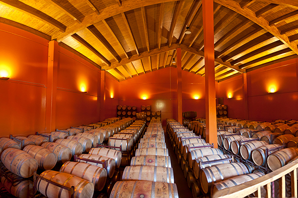 Fasslager mit zahlreichen Holzfässern, die ordentlich in langen Reihen aufgestellt sind. Das warme Licht und orangefarbene Wände schaffen eine gemütliche Atmosphäre in einem Weinkeller.