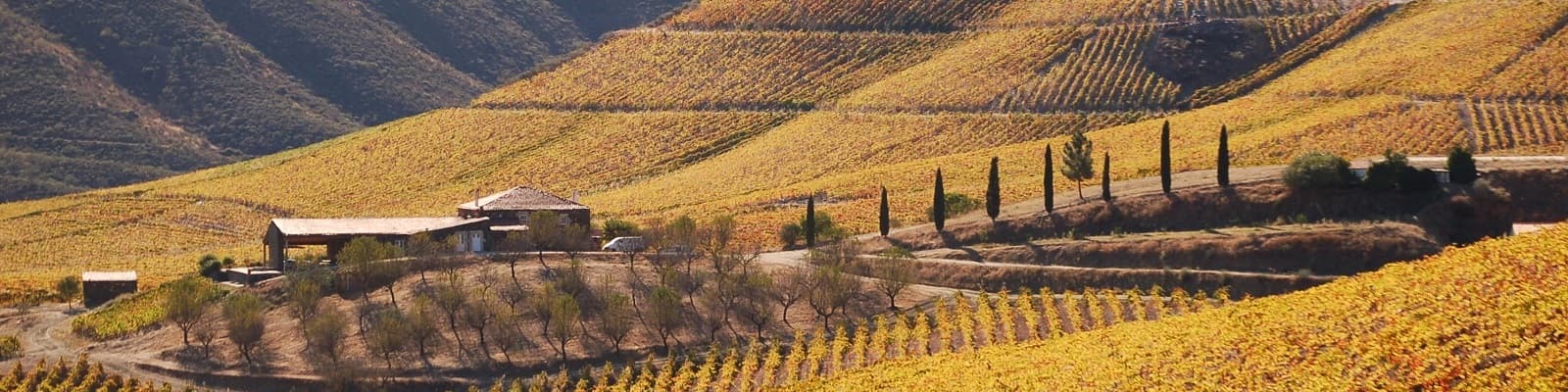 Weinberg Portugal