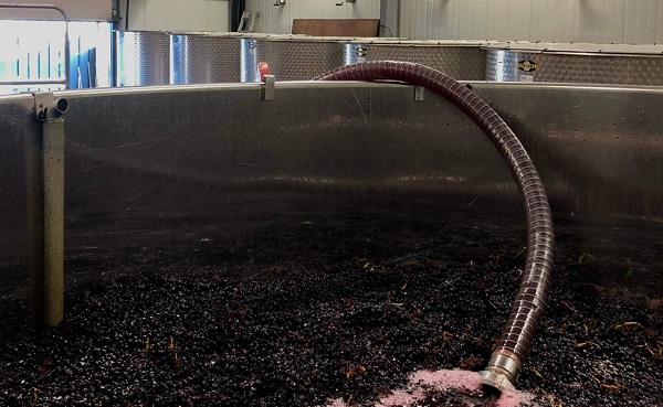 Ein großer, runder Behälter in einer Industrieumgebung enthält dunkles Traubengemisch. Ein flexibler Schlauch führt aus dem Behälter heraus. Tageslicht strömt durch ein Fenster im Hintergrund.