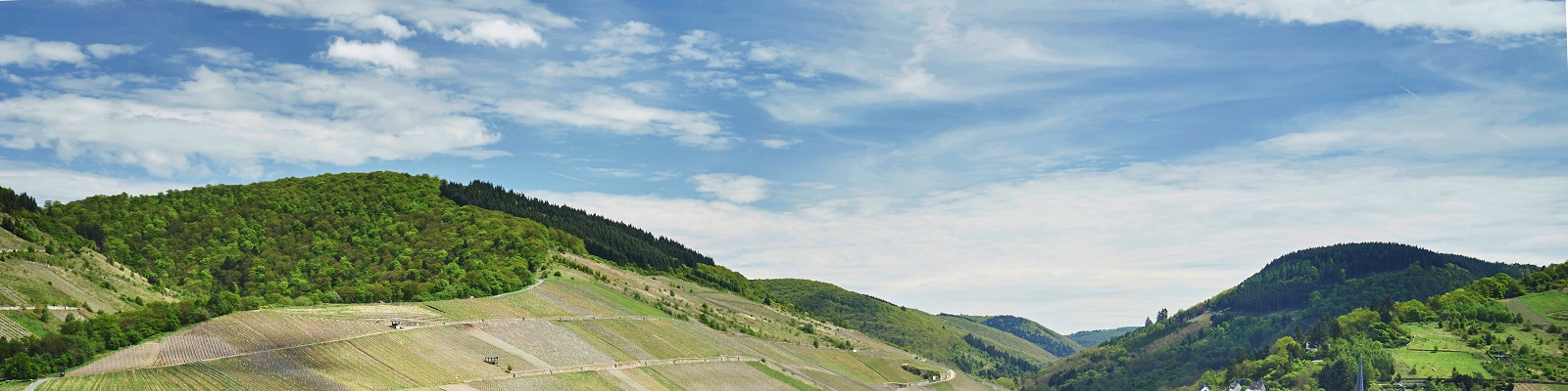 Villa Huesgen Grüne Hügel und Weinberge erstrecken sich unter einem klaren, blauen Himmel. Die Landschaft zeigt geschwungene Felder, während eine kleine Siedlung im Vordergrund sichtbar ist.