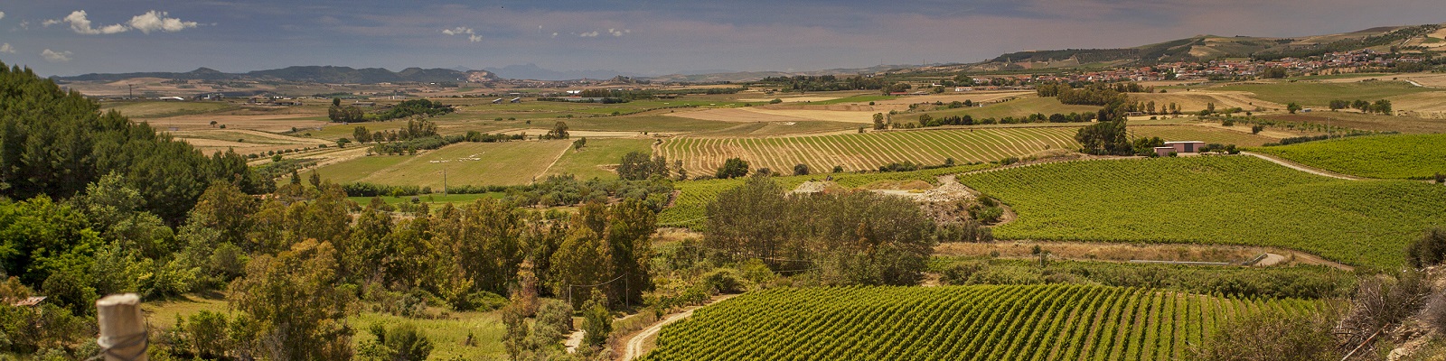 Argiolas Weite Landschaft mit sanften Hügeln, bewachsen mit Weinreben und Wäldern. Im Hintergrund sind kleine Dörfer und das bewölkte Himmelsbild zu sehen. Es ist ein ländliches, ruhiges Szenario.