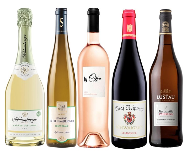 Weinpaket Weinsommer Fünf Weinflaschen stehen nebeneinander. Von links nach rechts sind es: ein Sekt, ein Weißwein, ein Rosé, ein Rotwein und ein Sherry. Jede Flasche hat ein einzigartiges Etikett.