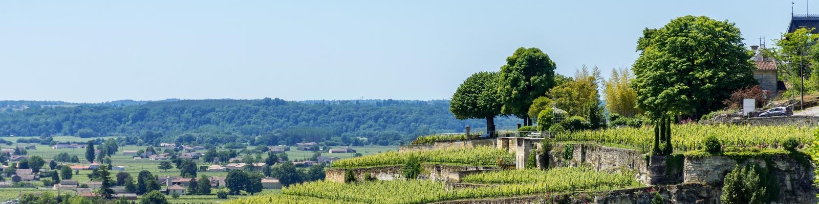 Grünland mit Weinreben bildet die Hauptszene. In der Ferne sieht man ein Dorf mit verstreuten Häusern und Bäumen. Der Himmel ist klar und blau, die Landschaft erstreckt sich sanft.