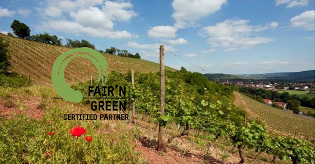 Fair_N_Green
