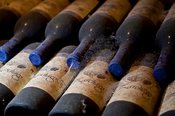 Weinflaschen liegen nebeneinander, einige mit Staub und Spinnweben bedeckt. Die Etiketten sind teilweise sichtbar, der Holzuntergrund zeigt die Lagerung in einem dunklen, feuchten Keller.