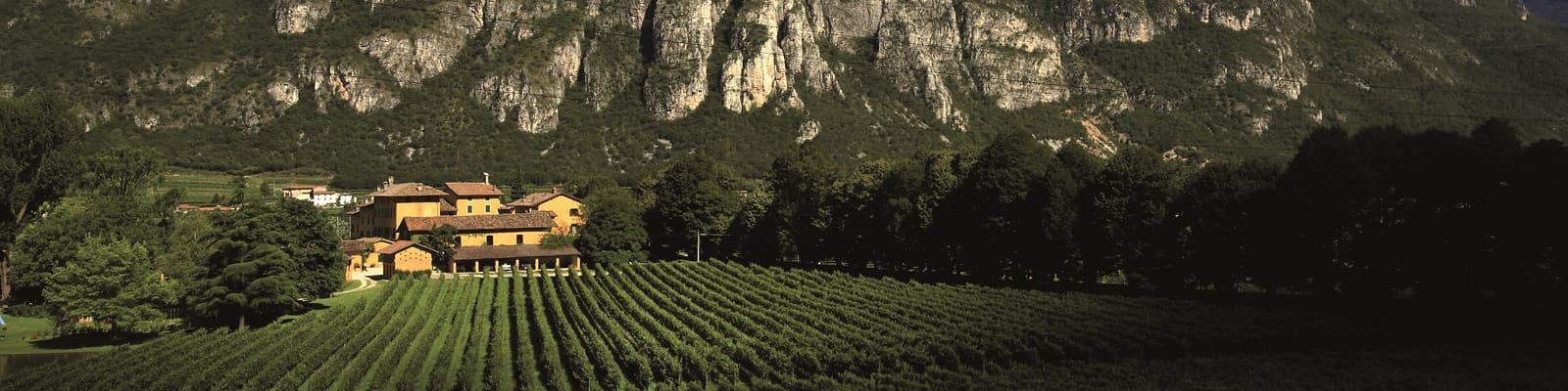 Tenuta San Leonardo