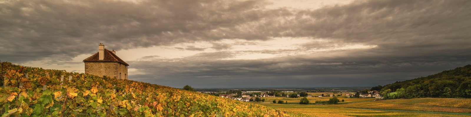Ein kleiner, historischer Bau mit einem Dach aus Schindeln steht im Vordergrund, umgeben von weitläufigen Weinbergen, die in sanften Hügeln angelegt sind, unter einem bewölkten Himmel.