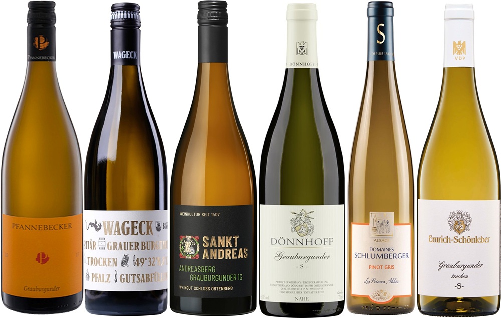 Best of Grauburgunder Weinpaket Sechs Flaschen Weißwein stehen nebeneinander. Jede Flasche hat ein einzigartiges Etikett und ist unterschiedlich in Form und Farbe. Die Weinsorten sind Grauburgunder und Pinot Gris.