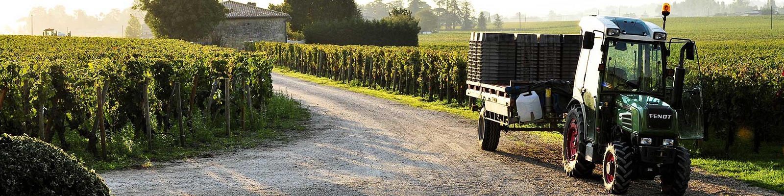 Château de Beauregard Ein Traktor mit Anhänger fährt auf einem Kiesweg zwischen Weinreben, umgeben von üppigem Grün und einer ländlichen Landschaft in der Morgensonne. Im Hintergrund ist ein altes Gebäude sichtbar.