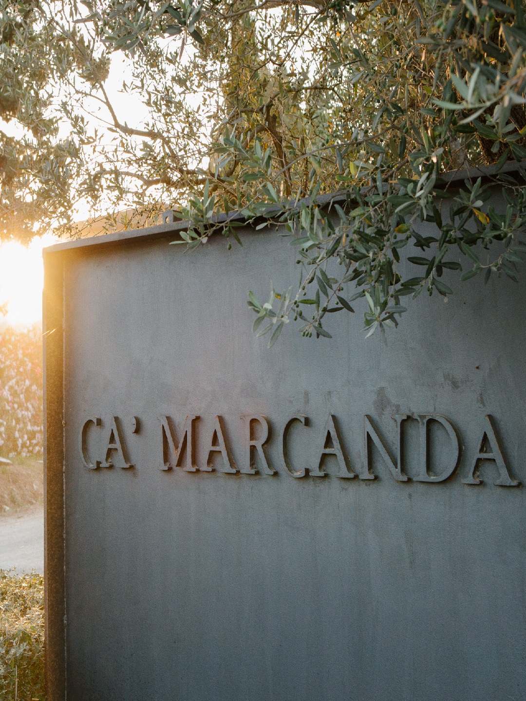 Ein metallisches Schild mit dem eingravierten Namen -CA- MARCANDA- ist im Vordergrund sichtbar. Im Hintergrund erleuchtet Sonnenlicht die Umgebung und beleuchtet Olivenzweige.