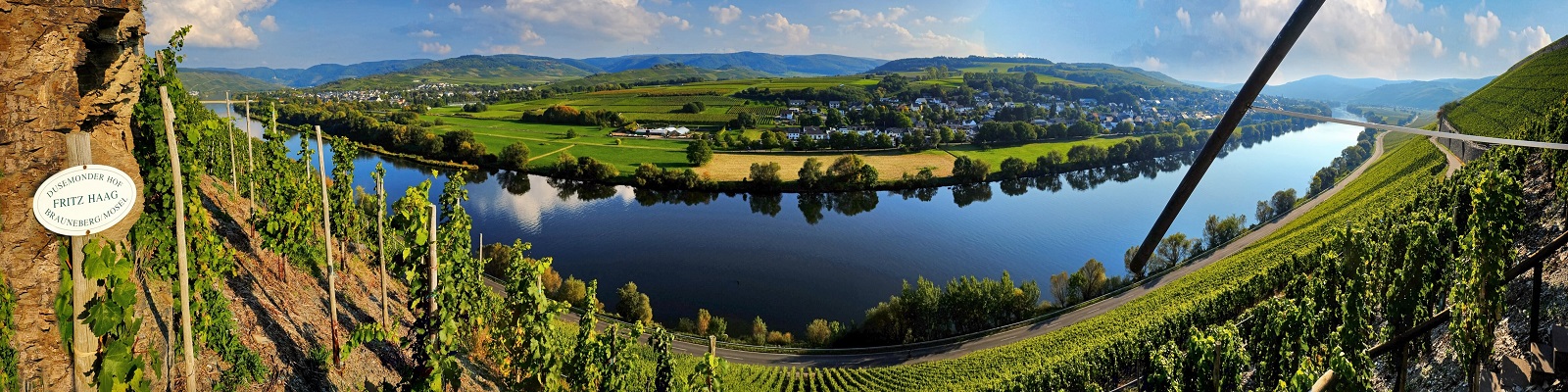 Fritz Haag Weinreben wachsen an einem Steilhang, während ein Fluss im Hintergrund sanft fließt. Auf der linken Seite ist ein Schild mit dem Namen eines Weinguts angebracht, umgeben von grüner Landschaft.