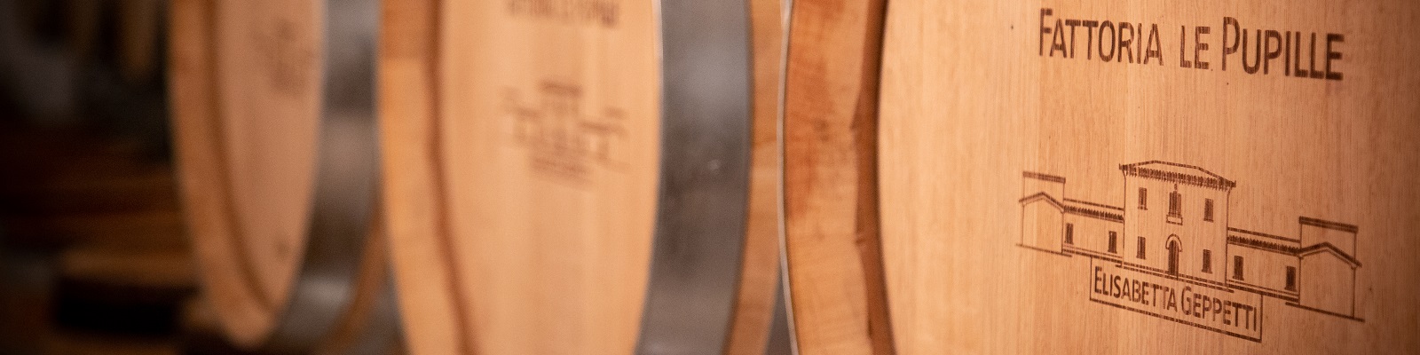 Fattoria Le Pupille Holzfässer mit eingravierten Logos und Schriftzügen stehen in einem Lagerraum. Die Fässer sind Teil einer Weinproduktion, sichtbar durch die Namen -Fattoria le Pupille- und -Elisabetta Geppetti-.