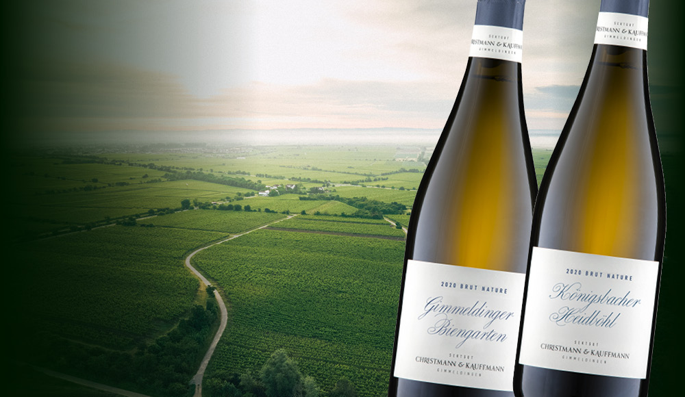 Zwei Weinflaschen mit goldenen Etiketten stehen im Vordergrund, während im Hintergrund weite Weinberge und ein hügeliges Landschaftsbild sichtbar sind, das von natürlichem Licht beleuchtet wird.