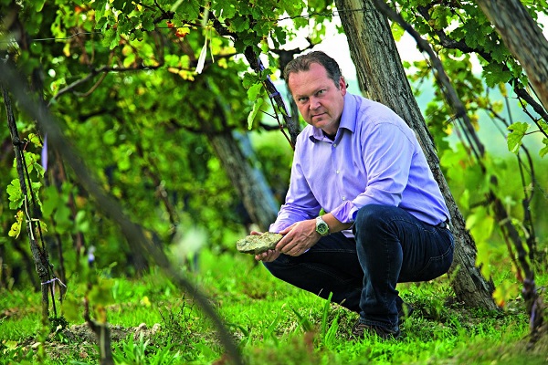 Ein Mann kniet in einem Weinberg und hält einen Stein in der Hand. Um ihn herum sind Weinreben, und im Hintergrund sieht man eine grüne Landschaft.
