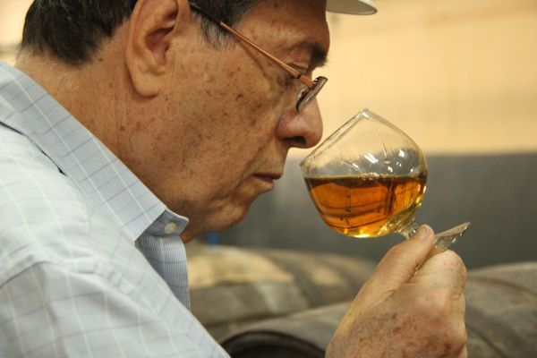 Ein älterer Mann in einem Hemd hält ein Glas mit goldbraunem Getränk an seine Nase und riecht daran. Im Hintergrund sind Holzfässer zu sehen.