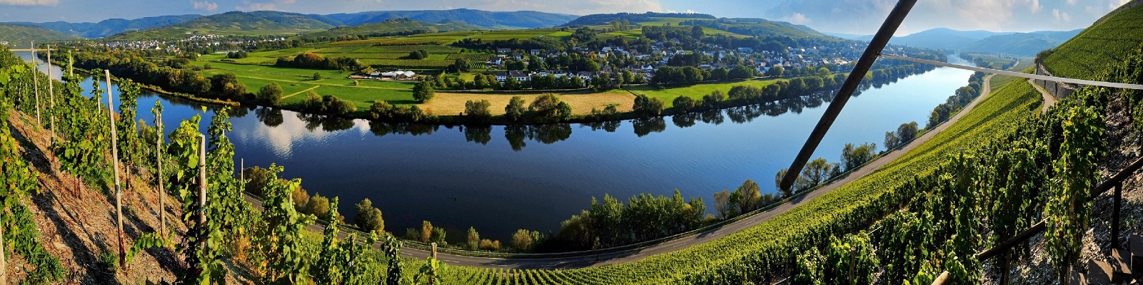 Mosel Weinberg