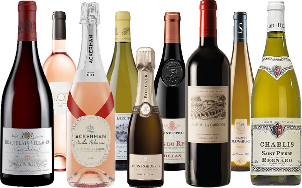 Zehn Weinflaschen stehen nebeneinander, darunter Rot-, Rosé- und Weißweine. Jede Flasche hat ein unterschiedliches Design und Etikett, und die Farben variieren von dunkelrot bis hellgrün.