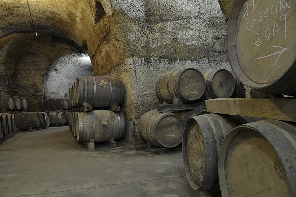Holzfässer stehen in einem unterirdischen Weinkeller, umgeben von steinernen Wänden und einem gewölbten Gewölbe. Einige Fässer sind gestapelt, andere liegen auf Holzgestellen.