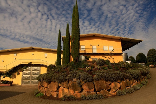 Ein modernes, gelbes Gebäude mit einem flachen Dach steht am Ende einer gepflasterten Auffahrt. Diese wird von einem bewachsenen, runden Hügel mit Zypressen und Stauden umgeben, unter einem wolkenbedeckten Himmel.