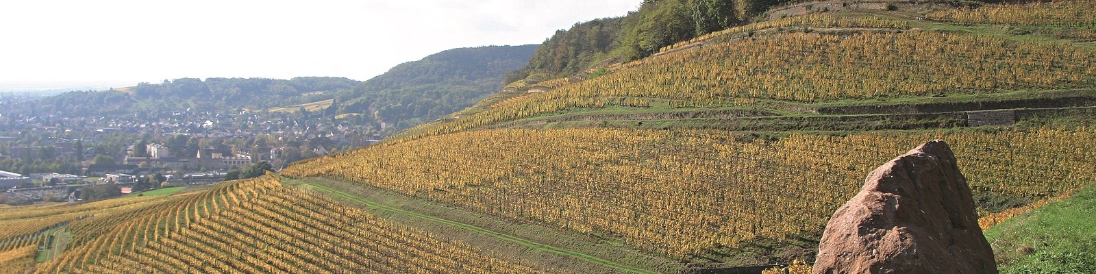Weinberg Frankreich