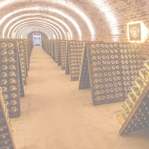 Ein Keller mit gewölbter Decke, in dem Reihen von Flaschen auf gestellten Regalen stehen. Das Licht ist sanft und der Raum wirkt historisch und gut erhalten.