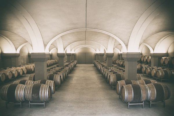 Ein Weinkeller mit mehreren Reihen von Fässern aus Holz, die auf Metallgestellen stehen. Die Wände sind hell und die Decke hat gewölbte Bögen, wodurch eine ruhige Atmosphäre entsteht.