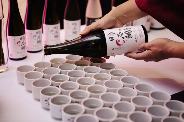 Eine Person gießt Sake aus einer Flasche in eine Reihe von kleinen, weißen Tassen, die ordentlich angeordnet sind. Im Hintergrund stehen weitere Sakeflaschen.