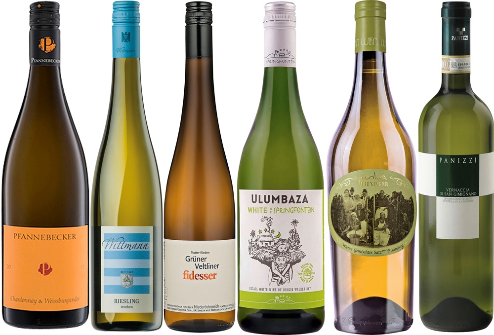 Best of Bio Weißwein Sechs verschiedene Weinflaschen stehen in einer Reihe. Jede Flasche hat ein einzigartiges Etikett und Design, das verschiedene Weinsorten und Herkunftsregionen repräsentiert.