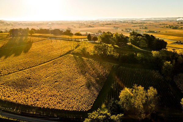 Weite, goldene Felder erstrecken sich in der Landschaft. Die Sonne steht niedrig am Himmel und wirft lange Schatten auf die sanften Hügel. Vereinzelt stehen Bäume und Sträucher.