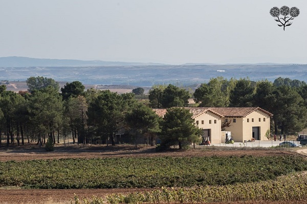 Ein landwirtschaftliches Gebäude steht umgeben von Bäumen auf einem Hügel. Im Vordergrund sind Weinreben zu sehen, im Hintergrund erstrecken sich sanfte Hügel und eine ruhige Landschaft.