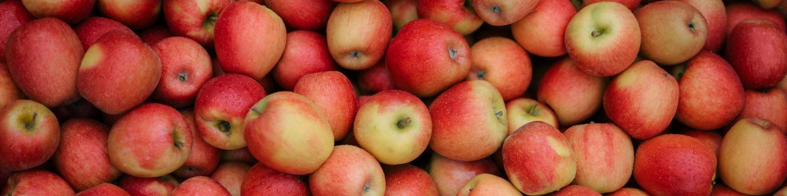 Rote Äpfel liegen dicht nebeneinander auf einem Tisch. Die Äpfel sind glänzend und frisch, einige mit leicht grünlichen Stellen, in einer reichen Vielfalt von rötlichen Farbtönen.