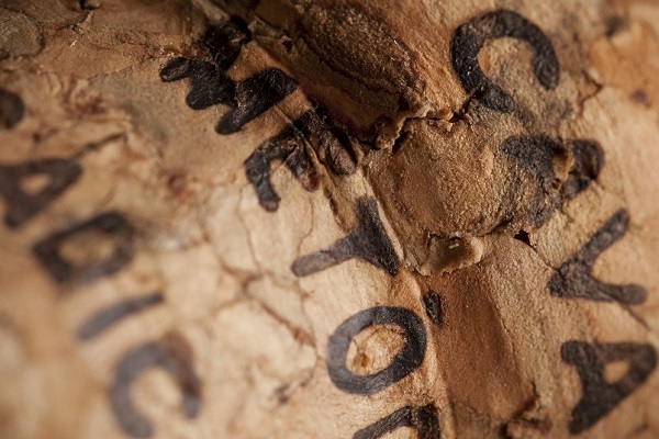 Ein Korken mit sichtbaren Rissen und Unregelmäßigkeiten. Darauf sind einige schwarze Buchstaben und Zahlen gedruckt, die teilweise schwer lesbar sind. Der Hintergrund ist unscharf.