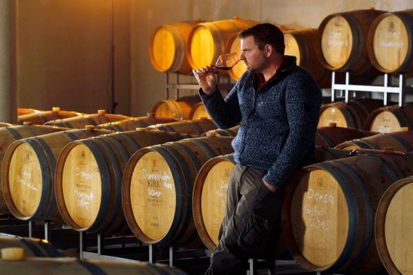 Ein Mann in einem blauen Pullover sitzt auf einem Fass und hält ein Weinglas, während er den Wein betrachtet. Im Hintergrund sind zahlreiche Holzfässer in einem Kelleraum zu sehen.