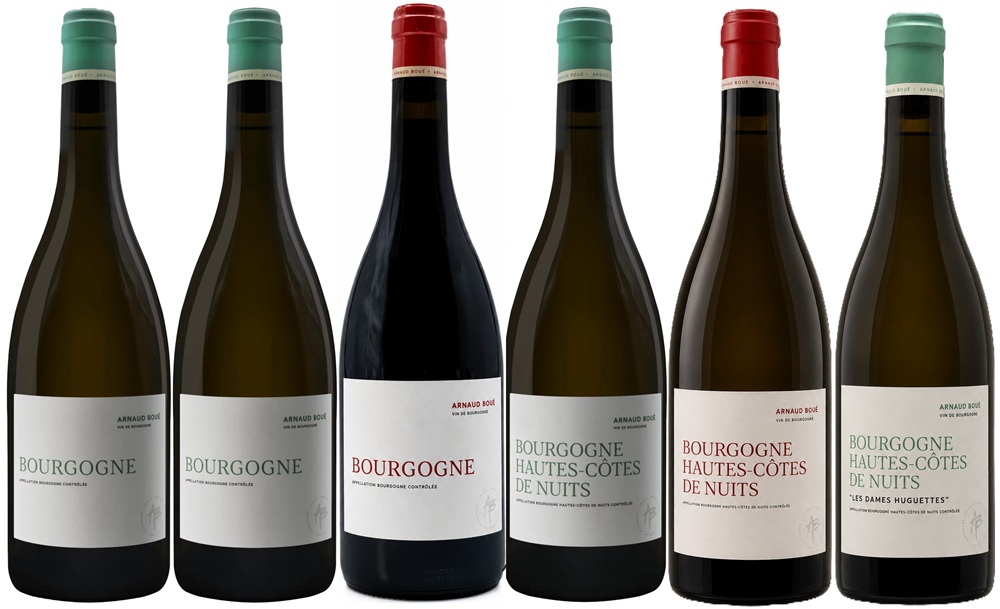 Sechs Flaschen Wein stehen in einer Reihe. Die Flaschen haben unterschiedliche Etiketten, wobei die Farben variieren. Es sind sowohl weiße als auch rote Weine abgebildet.