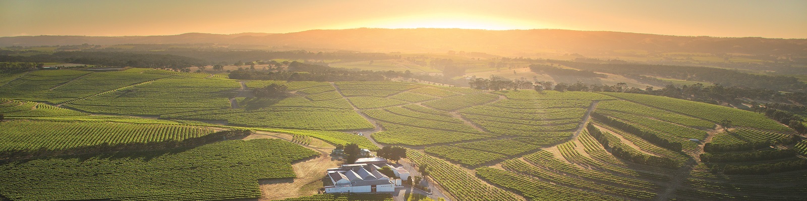 Australien Weinberge