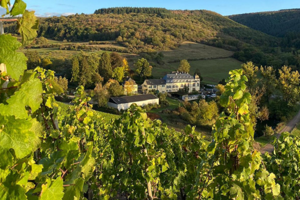 Weinreben wachsen in der Vordergrund, während ein malerisches Gebäude mit umliegenden Bäumen und sanften Hügeln im Hintergrund sichtbar ist. Die Landschaft zeigt herbstliche Farben und einen klaren Himmel.