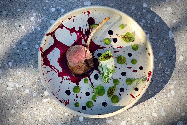 Ein Kunstwerk aus Speisen auf einem runden Teller. Ein Lammkotelett liegt in der Mitte, umgeben von roten Beeren- und grünen Saucenpunkten sowie Kräutern und schaumiger Beilage.