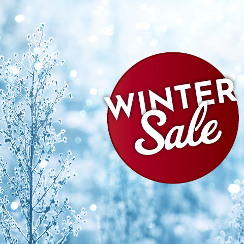 Ein winterliches Hintergrundbild zeigt schneebedeckte Pflanzen, während ein roter Kreis mit der Aufschrift -WINTER Sale- in eleganter Schrift im Vordergrund platziert ist.
