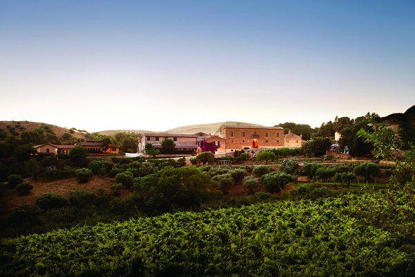 Regaleali_600 Weinreben erstrecken sich über den Vordergrund, während ein rustikales Gebäude hinter ihnen steht. Die Abenddämmerung taucht die Landschaft in sanftes Licht, umgeben von Hügeln und Bäumen.